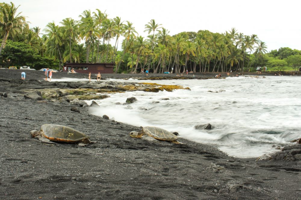 Punaluʻu Black Sand Beach