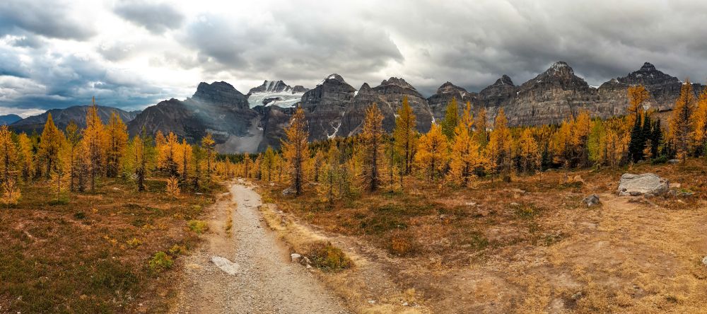 Larch Valley Trail