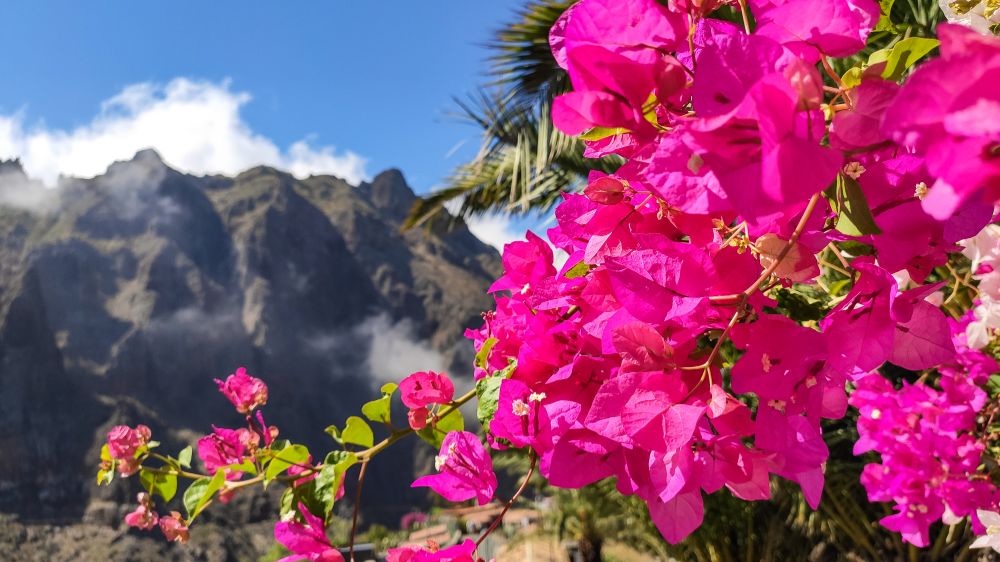 Kanárské ostrovy: Nejkrásnější přírodní a kulturní místa na Tenerife